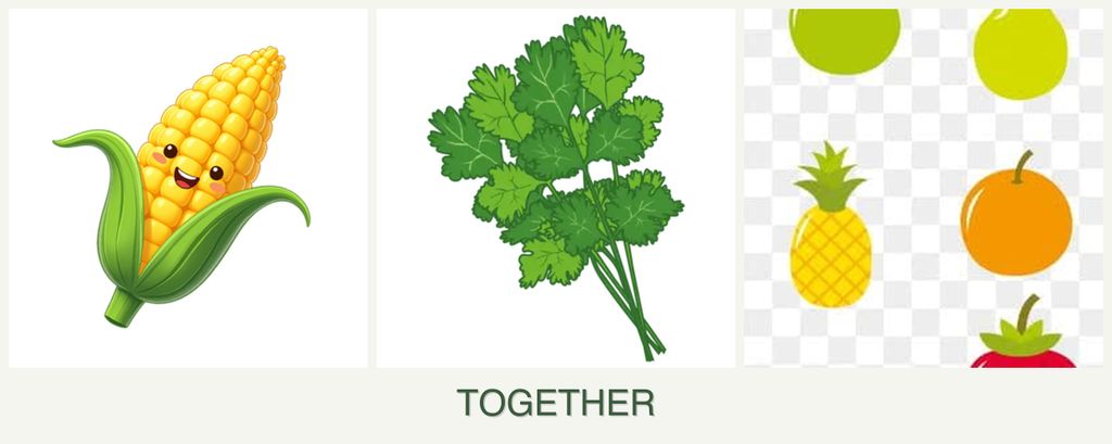 Can you plant corn, cilantro and pears together?