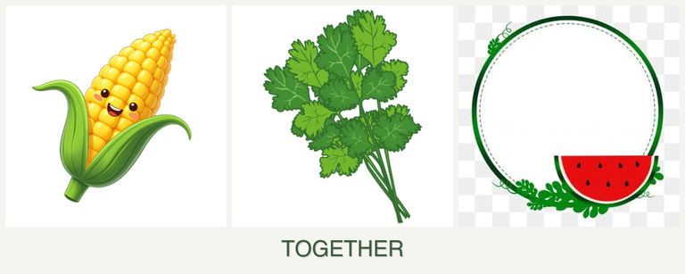 Can you plant corn, cilantro and watermelons together?