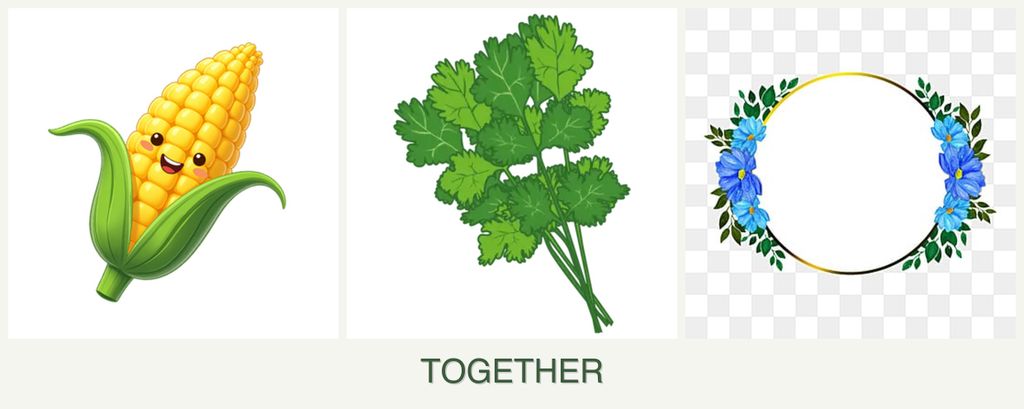 Can you plant corn, cilantro and zinnias together?