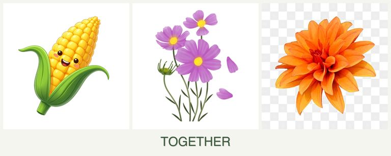 Can you plant corn, cosmos and dahlias together?