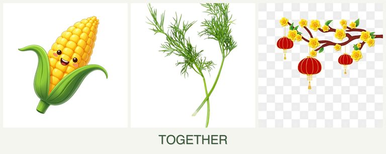 Can you plant corn, dill and apricots together?