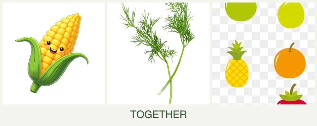 Can you plant corn, dill and pears together?