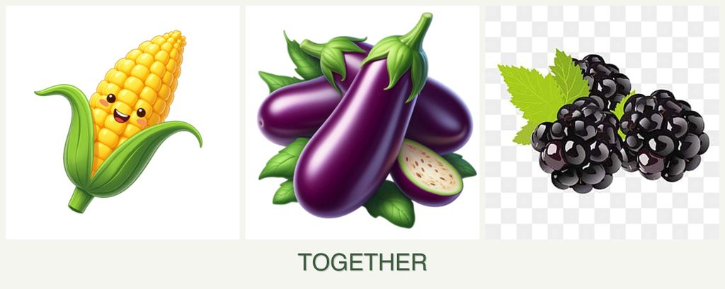 Can you plant corn, eggplant and blackberries together?