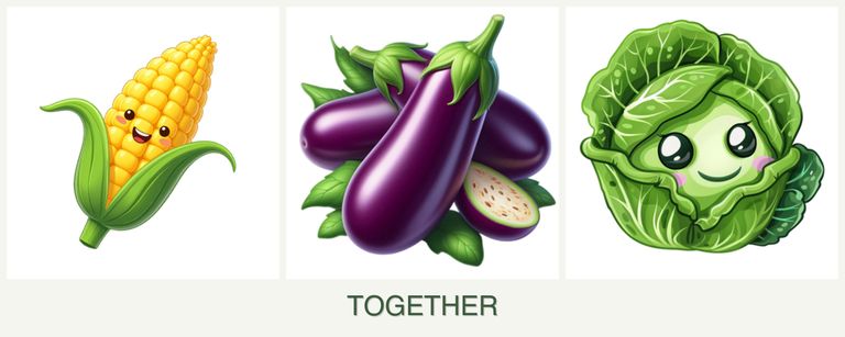 Can you plant corn, eggplant and cabbage together?