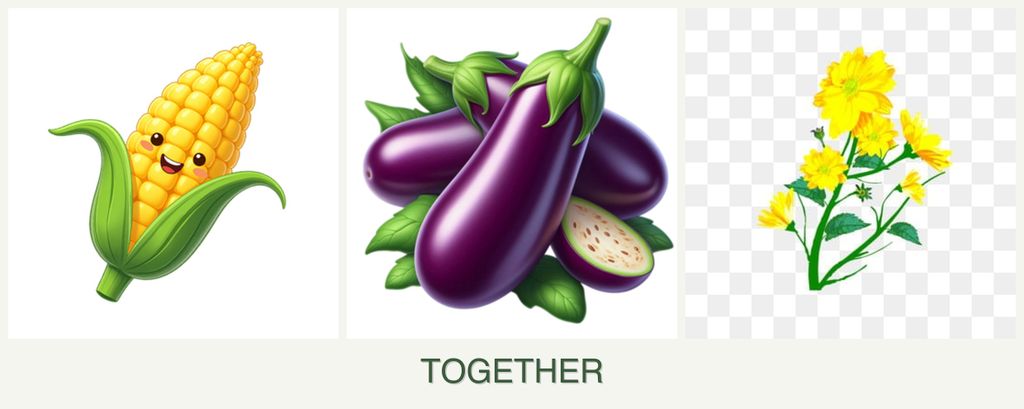 Can you plant corn, eggplant and calendula together?