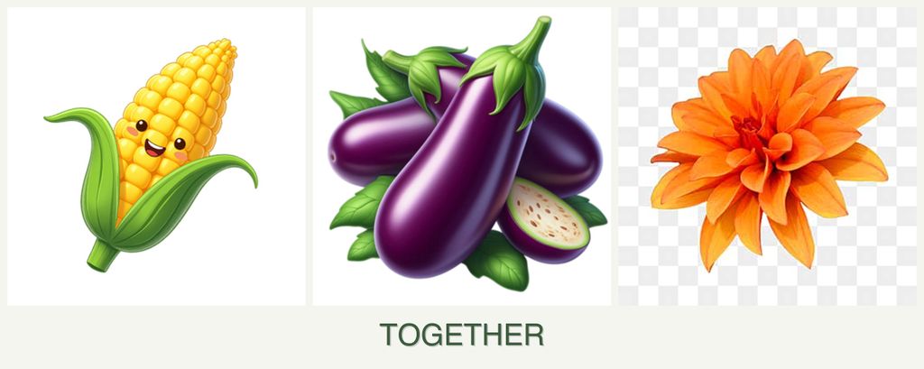 Can you plant corn, eggplant and dahlias together?