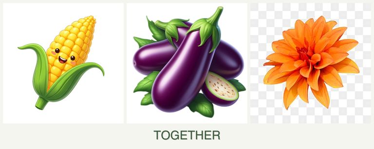 Can you plant corn, eggplant and dahlias together?