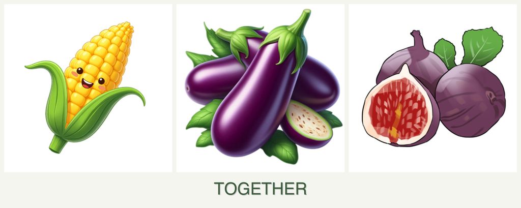 Can you plant corn, eggplant and figs together?