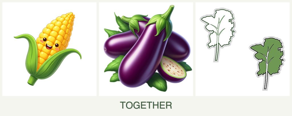 Can you plant corn, eggplant and kale together?