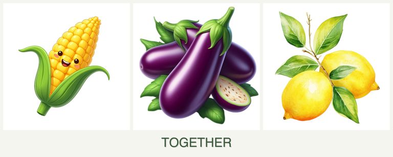 Can you plant corn, eggplant and lemons together?