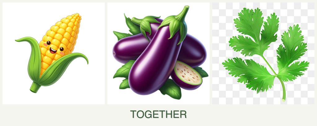 Can you plant corn, eggplant and parsley together?