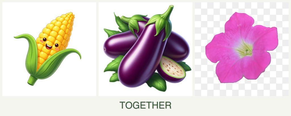 Can you plant corn, eggplant and petunias together?