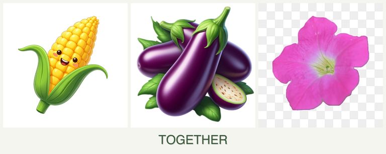 Can you plant corn, eggplant and petunias together?