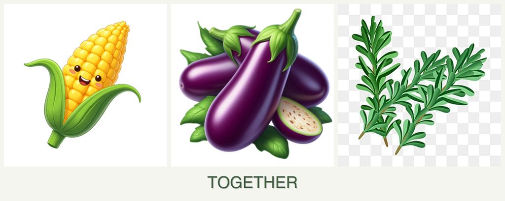 Can you plant corn, eggplant and rosemary together?
