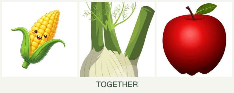 Can you plant corn, fennel and apples together?
