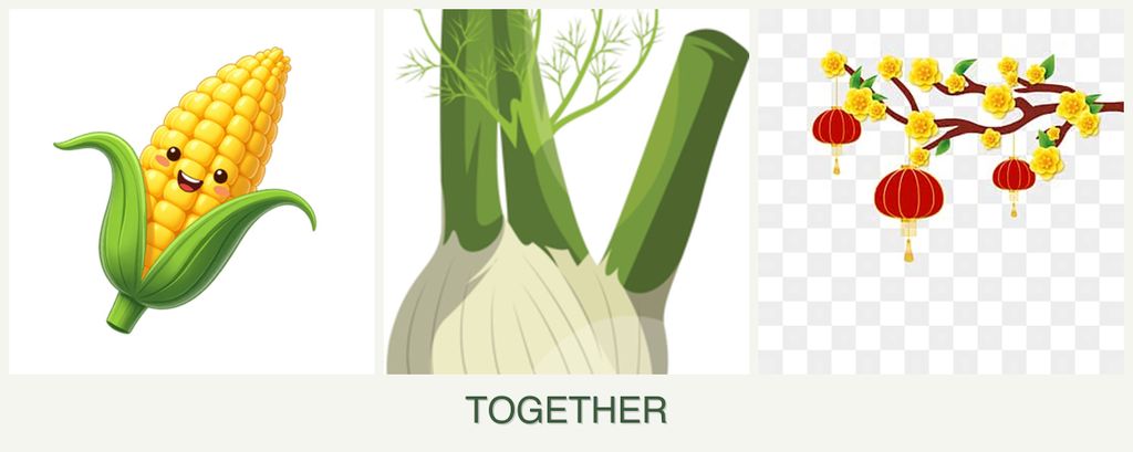 Can you plant corn, fennel and apricots together?