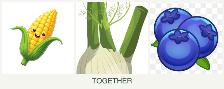 Can you plant corn, fennel and blueberries together?