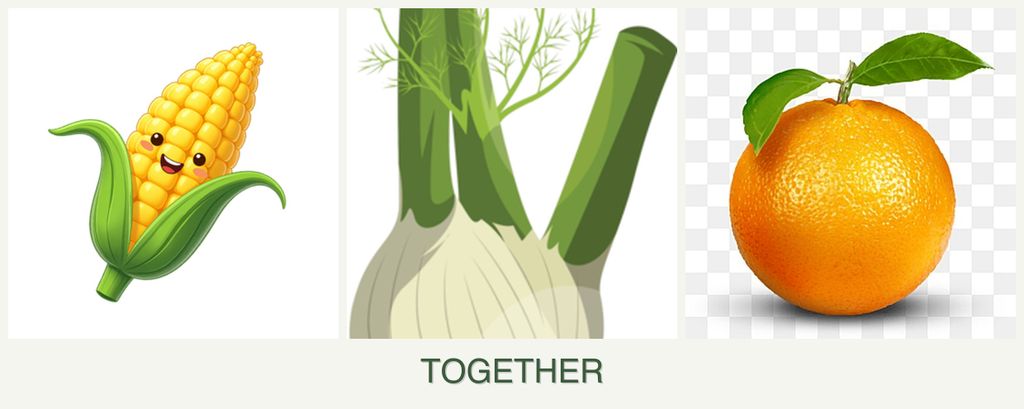 Can you plant corn, fennel and oranges together?