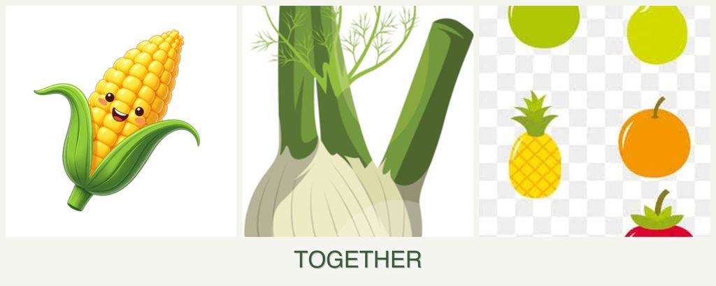 Can you plant corn, fennel and pears together?