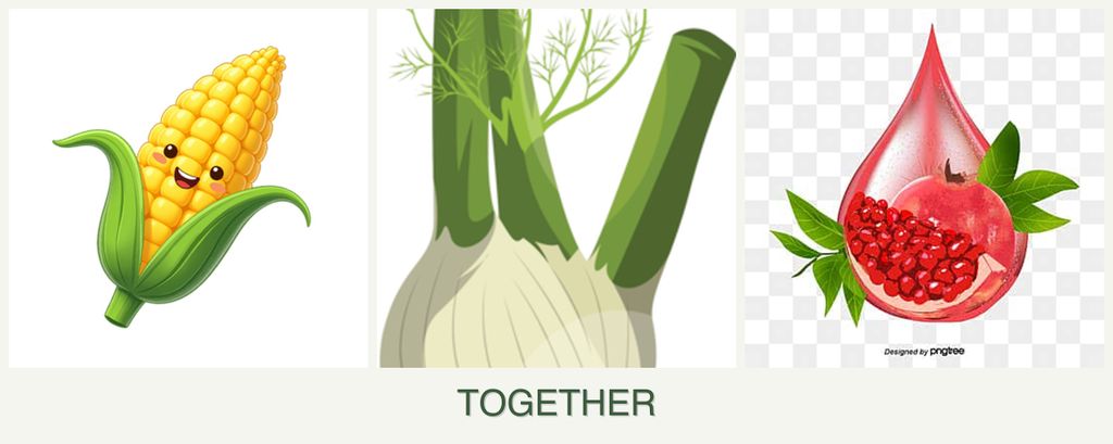 Can you plant corn, fennel and pomegranates together?