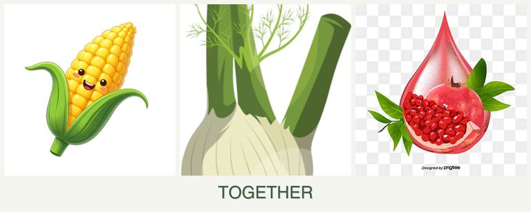 Can you plant corn, fennel and pomegranates together?