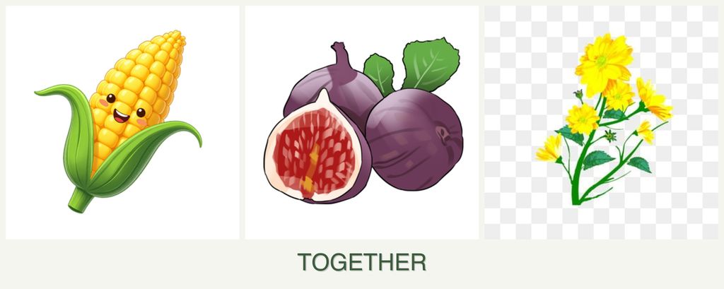 Can you plant corn, figs and calendula together?