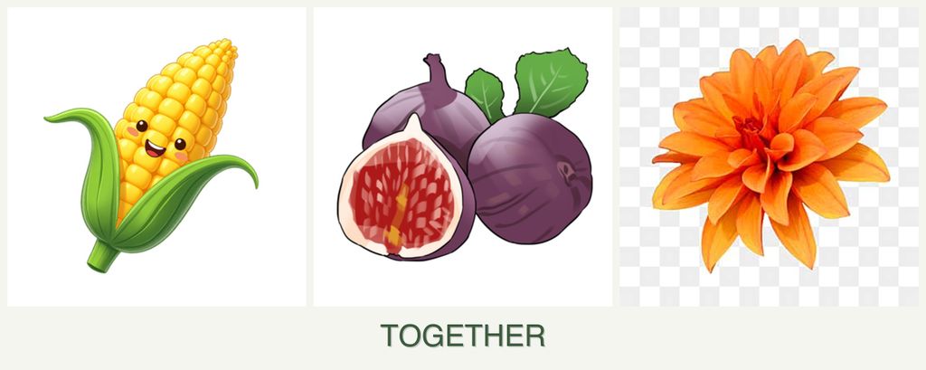 Can you plant corn, figs and dahlias together?
