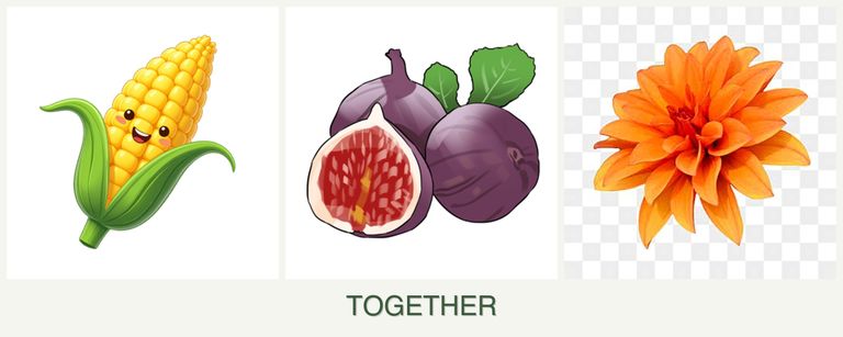 Can you plant corn, figs and dahlias together?