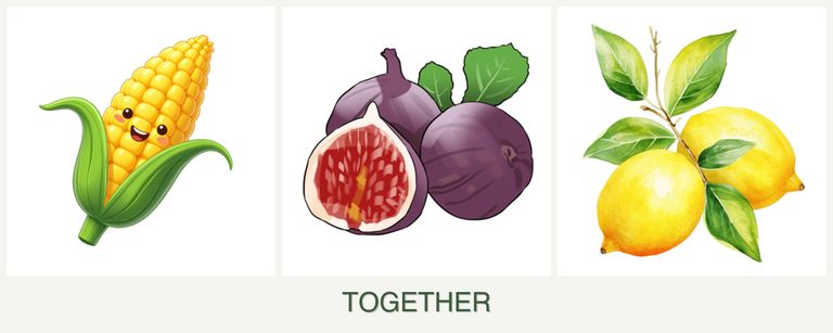 Can you plant corn, figs and lemons together?