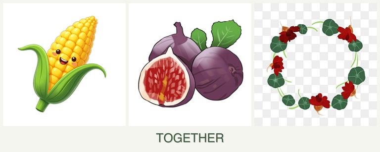 Can you plant corn, figs and nasturtiums together?
