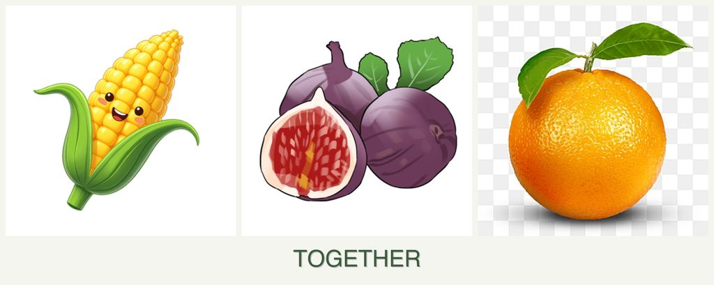 Can you plant corn, figs and oranges together?