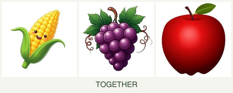 Can you plant corn, grapes and apples together?