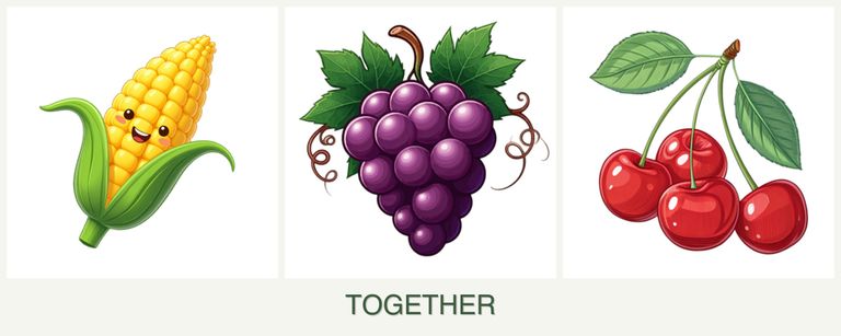 Can you plant corn, grapes and cherries together?