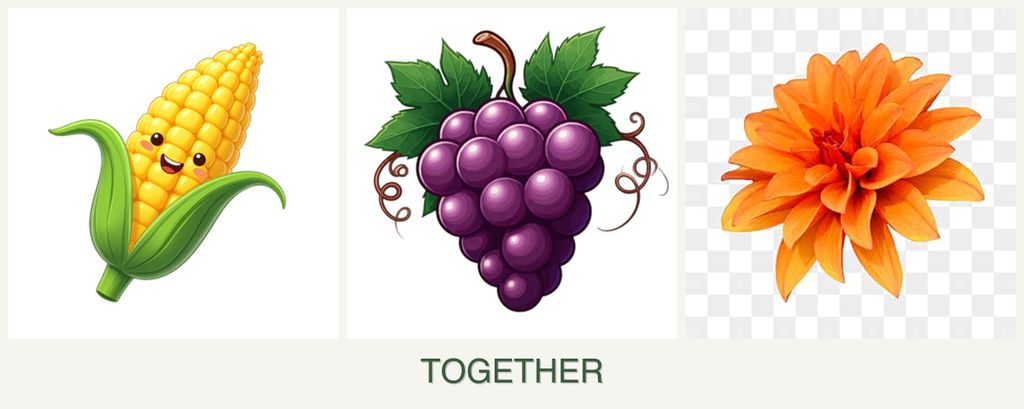 Can you plant corn, grapes and dahlias together?