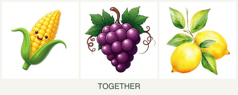 Can you plant corn, grapes and lemons together?