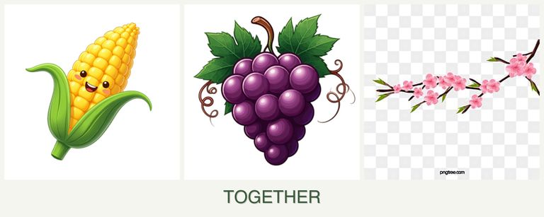 Can you plant corn, grapes and peaches together?