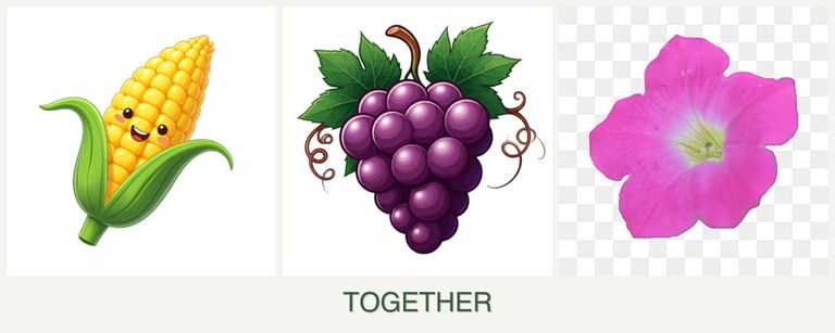 Can you plant corn, grapes and petunias together?
