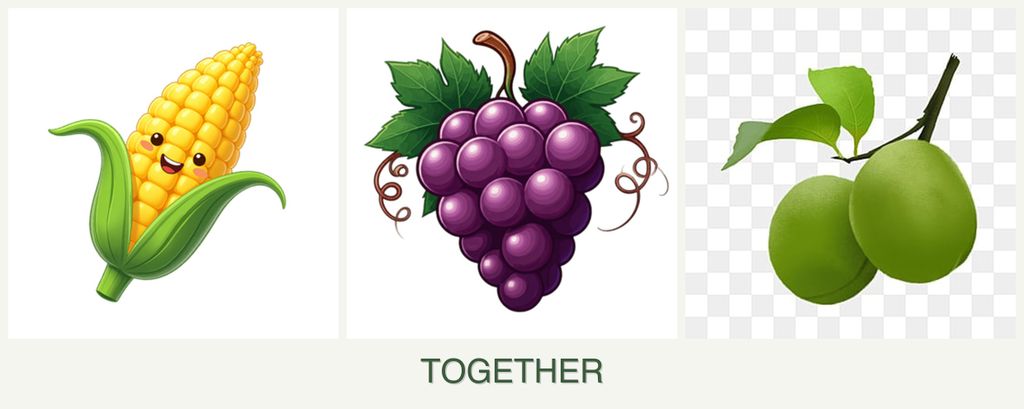 Can you plant corn, grapes and plums together?