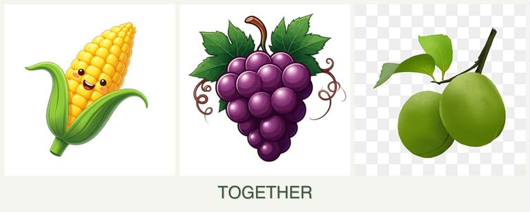 Can you plant corn, grapes and plums together?