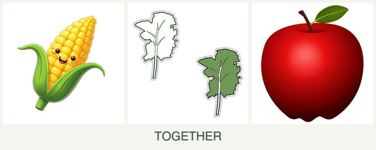 Can you plant corn, kale and apples together?