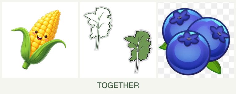 Can you plant corn, kale and blueberries together?
