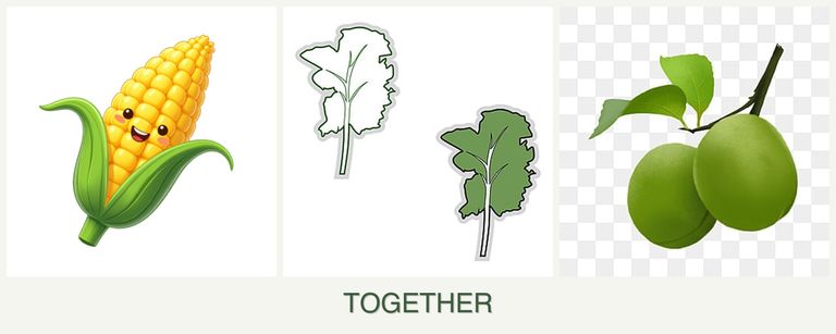 Can you plant corn, kale and plums together?