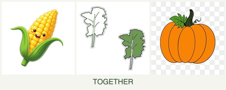 Can you plant corn, kale and pumpkin together?