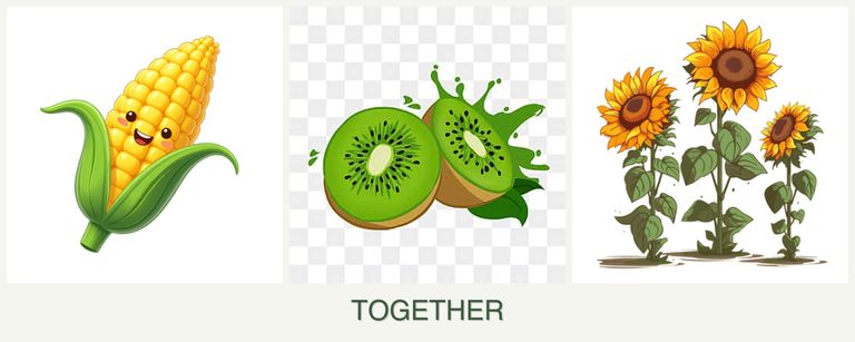 Can you plant corn, kiwi and sunflowers together?