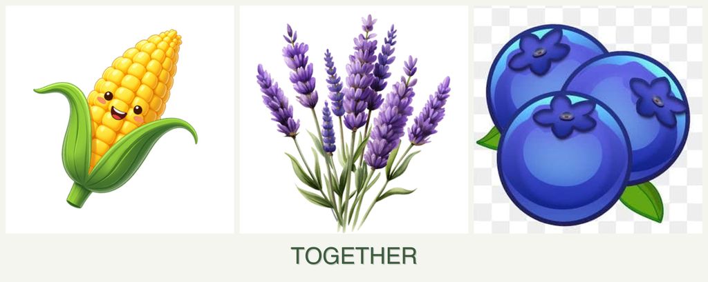 Can you plant corn, lavender and blueberries together?