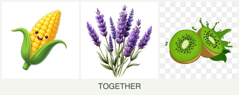 Can you plant corn, lavender and kiwi together?