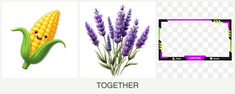 Can you plant corn, lavender and limes together?