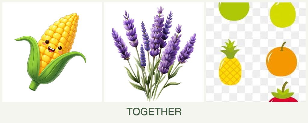 Can you plant corn, lavender and pears together?