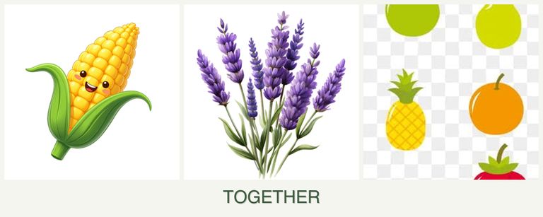 Can you plant corn, lavender and pears together?