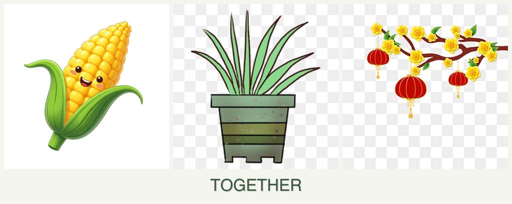 Can you plant corn, lemongrass and apricots together?